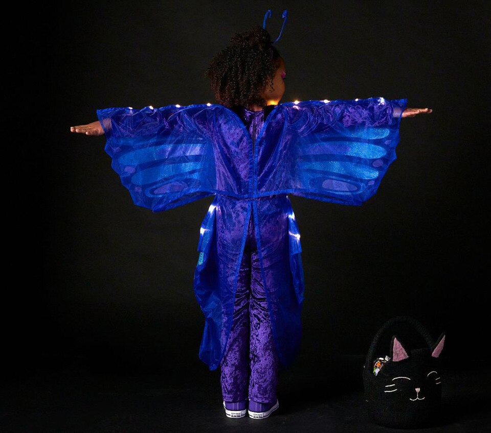 Sparkle Butterfly LightUp Costume Pottery Barn Kids UK